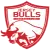 Jersey Bulls
